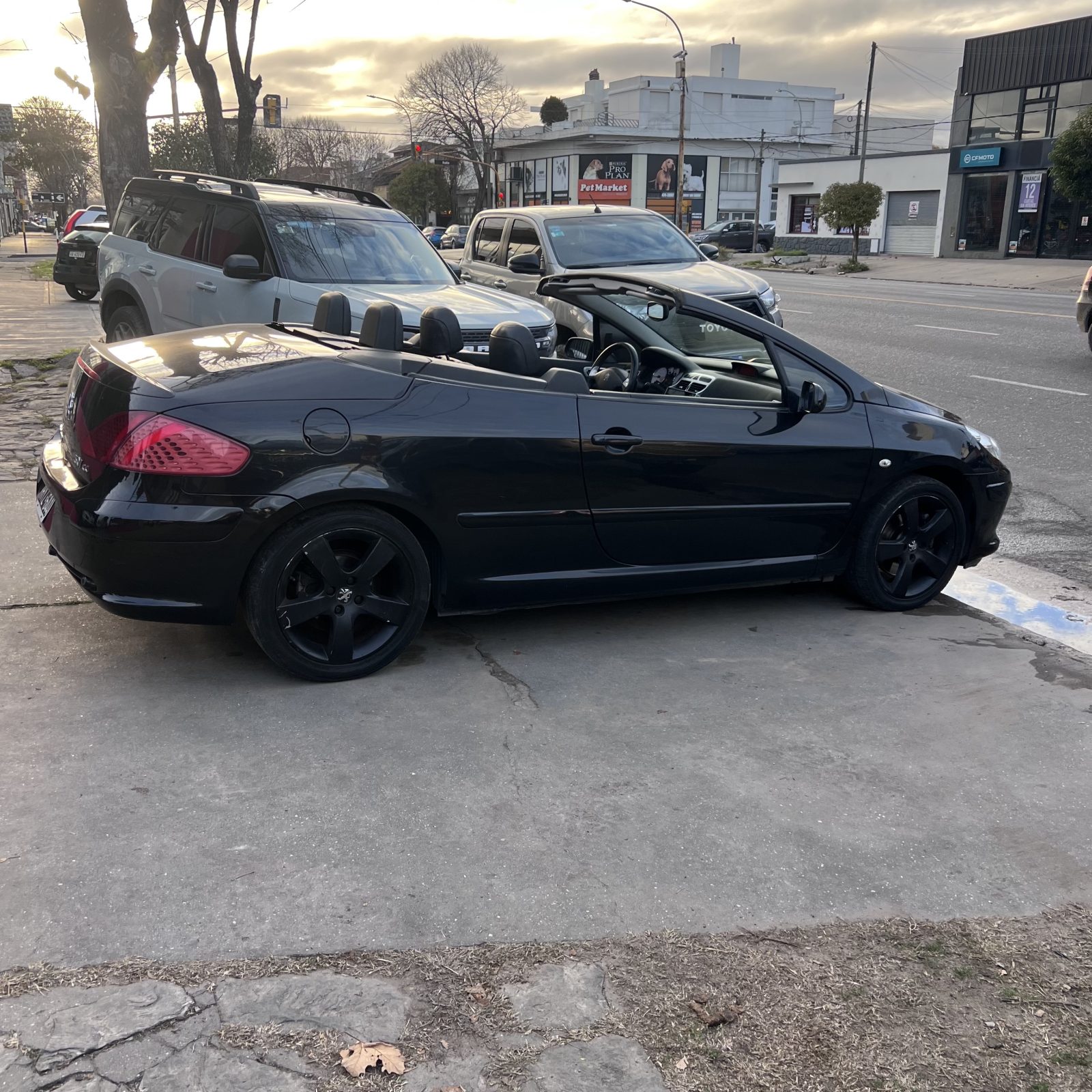 Peugeot 307 Cabriolet 2.0 Mt